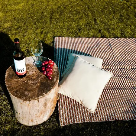 Agroturismo Delmira Vineyard House