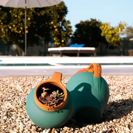 Delmira Vineyard House Agroturismo *