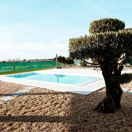 Farm stay Delmira Vineyard House Aguas de Moura