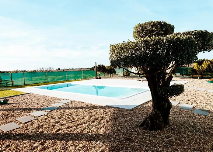 בית חווה Delmira Vineyard House Águas de Moura