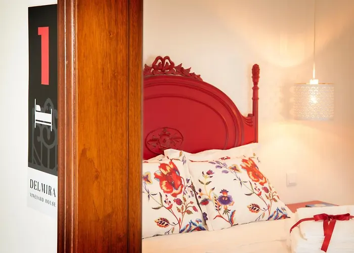 Delmira Vineyard House